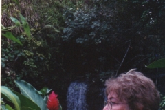 Alma Flor en Santo Domingo